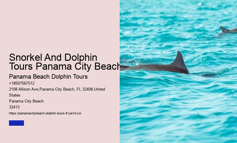 Dolphin & Snorkeling Tours Panama City Beach