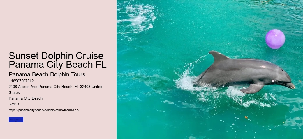 Do You Need Water Shoes For Dolphin Encounter