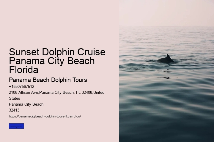 Snorkel And Dolphin Tours Panama City Beach