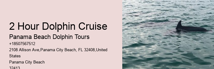 Come Swim With The Dolphins