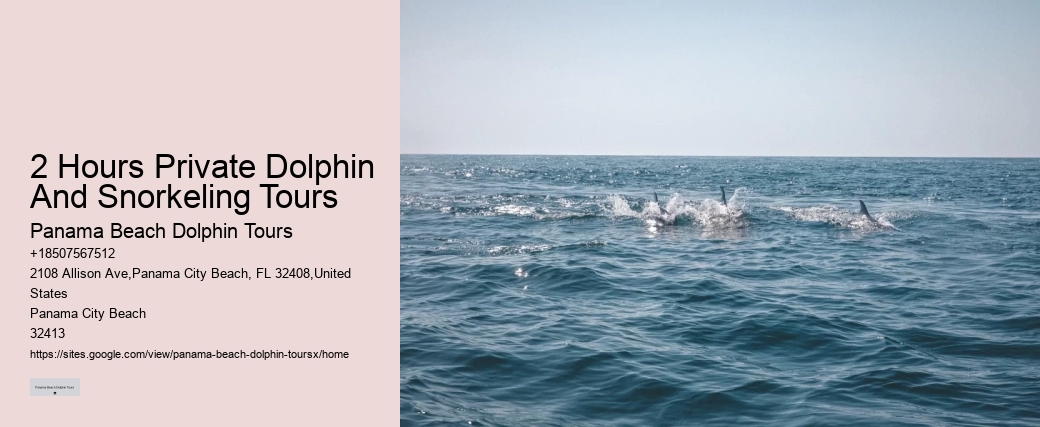 Exclusive Dolphin Expedition and Snorkeling