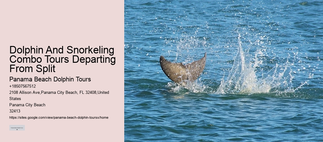 Are Panama City Beach dolphin tours suitable for non-swimmers