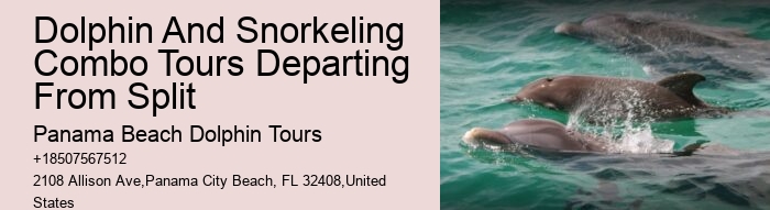 Dolphin Expeditions in Panama City Beach