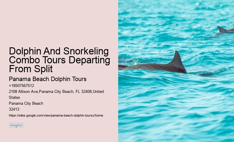 Dolphin Swim And Snorkel Tours In Split