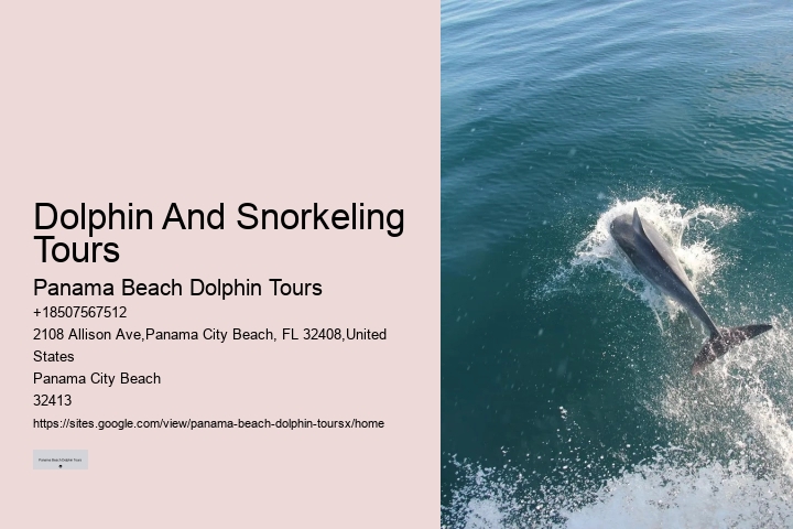 VIP Dolphin Exploration and Snorkeling