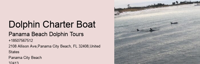 Tailored Dolphin Safari with Snorkeling