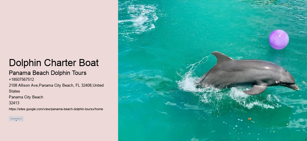 Dolphin Charter Boat