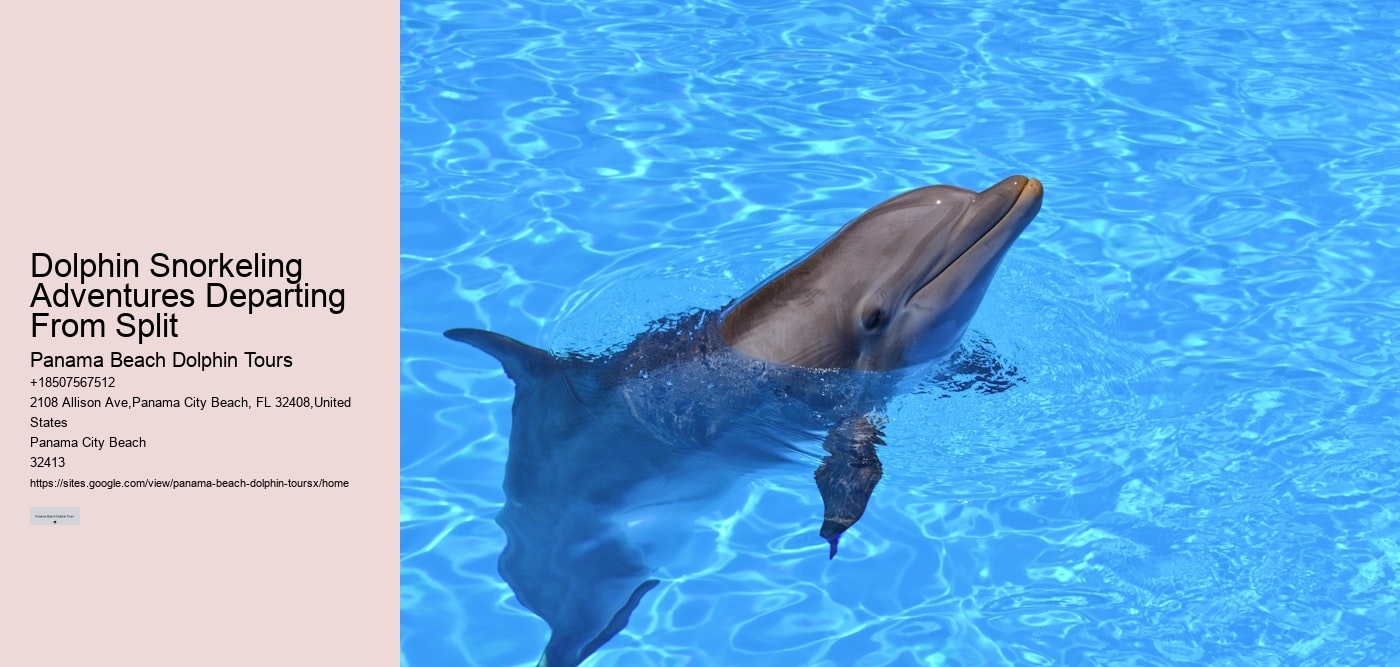 Dolphin Snorkeling Adventures Departing From Split