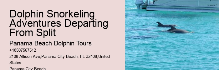 Private Dolphin Tours