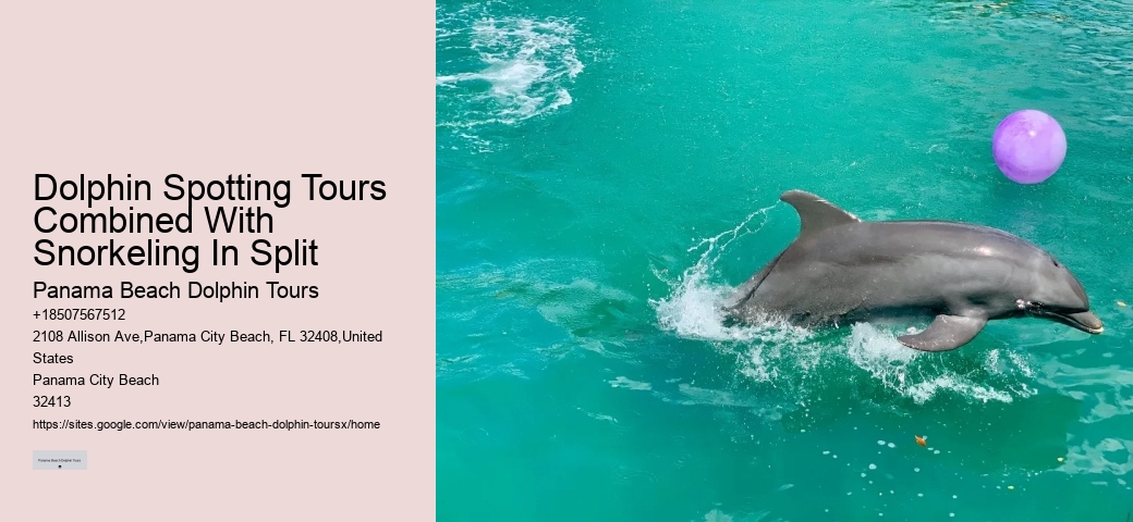 Dolphin Spotting Tours Combined With Snorkeling In Split