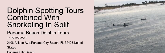 Dolphin trips in Panama City Beach