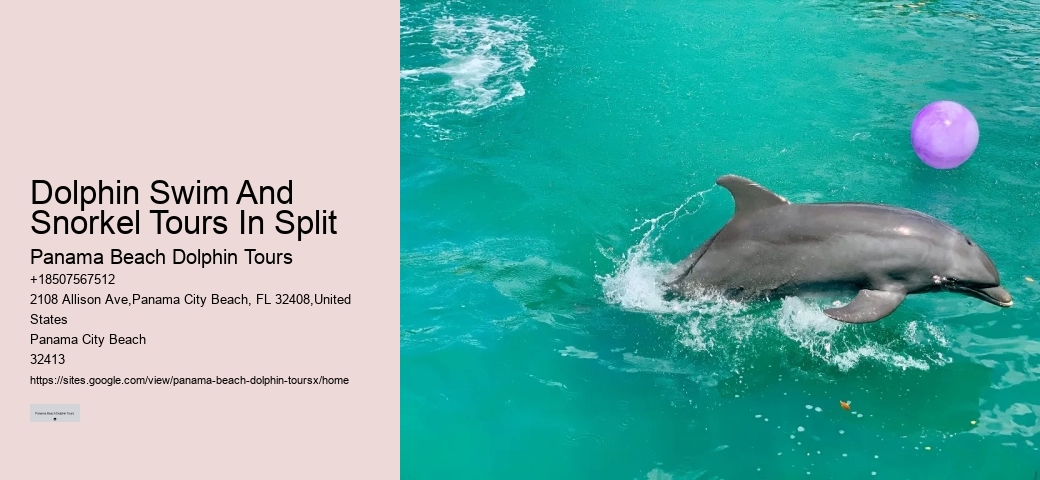 Dolphin And Snorkeling Tour