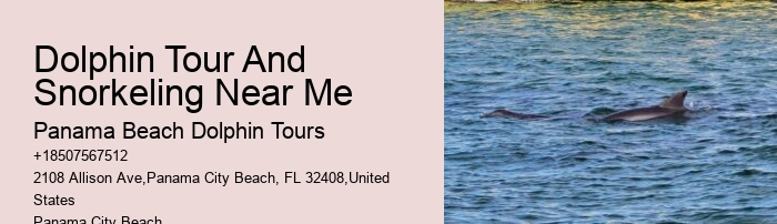 What Predator Kills Dolphins