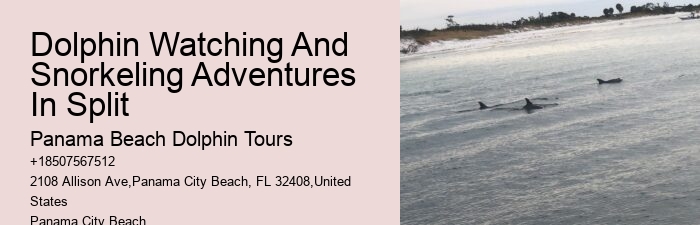 Panama City Beach dolphin sightseeing cruises