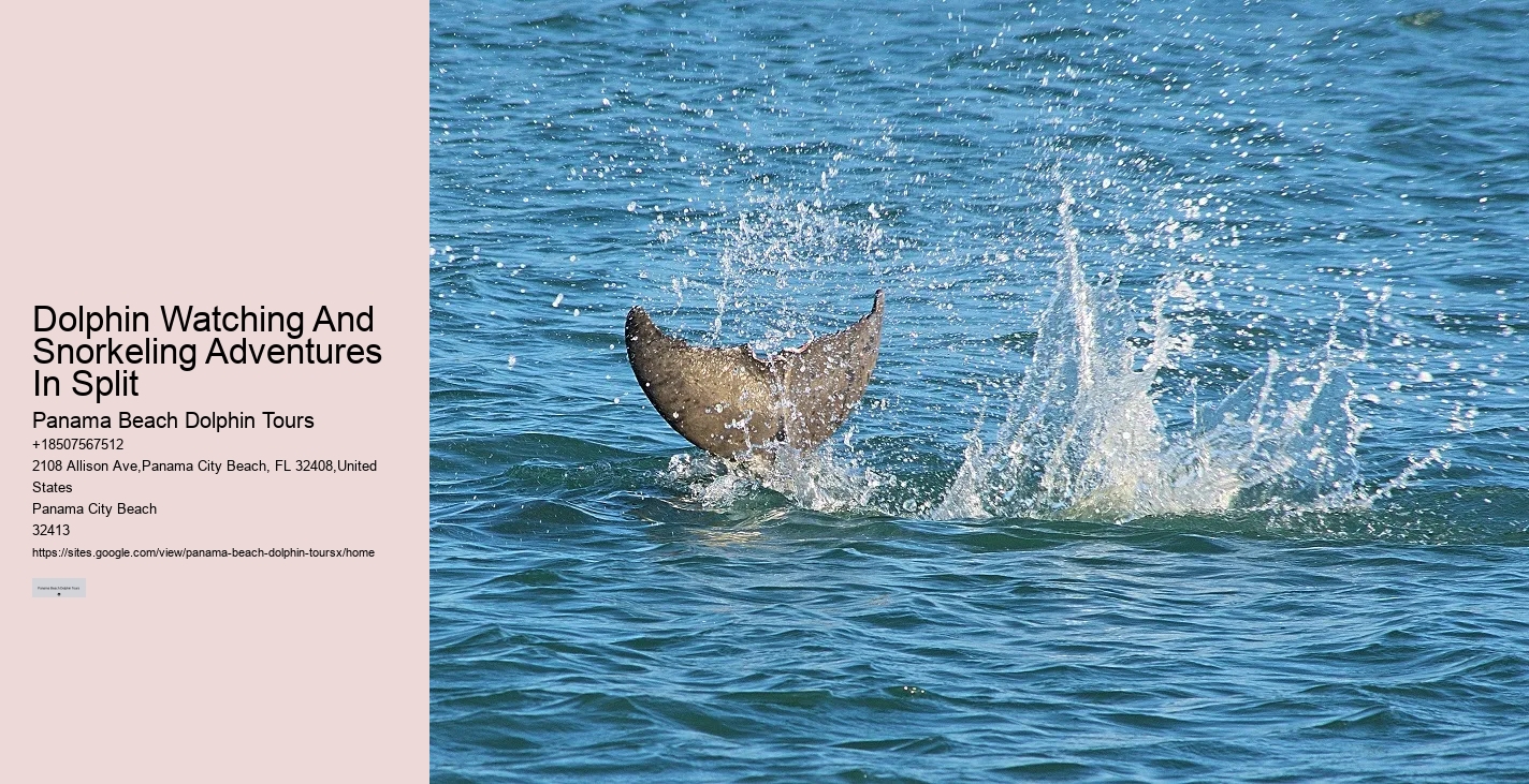 Rudee Flipper Dolphin Tours Virginia Beach