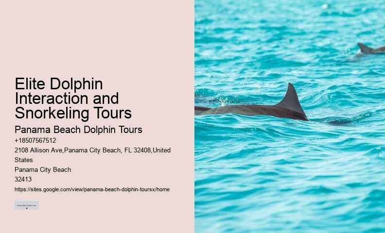 Panama City Beach Dolphin Tours Panama City Beach Fl