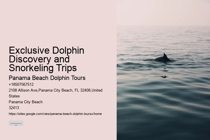 Elite Dolphin Interaction and Snorkeling Tours
