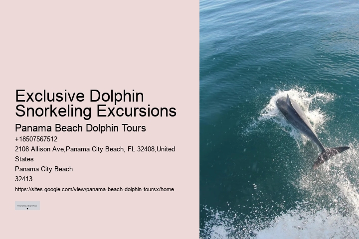 Private Dolphin Tours Gulf Shores
