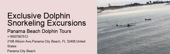 Panama City Beach Private Dolphin Tours