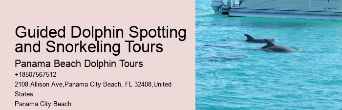 Water Planet Dolphin Swim Tours Panama City Beach Fl