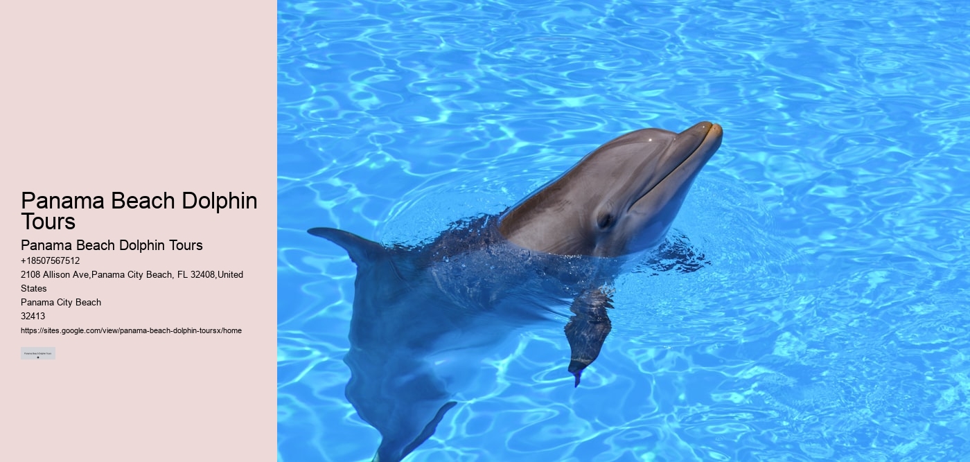 Panama Beach Dolphin Tours