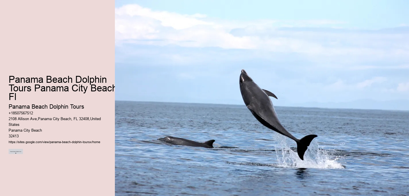 Split Thrilling Dolphin And Snorkeling Charters