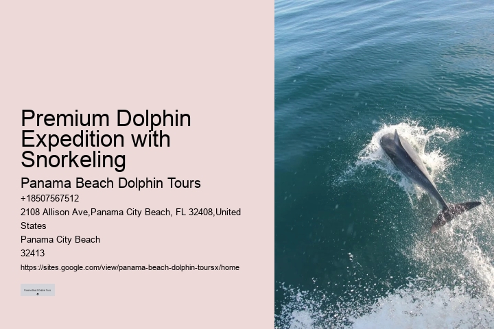 Panama City Beach dolphin exploration tours