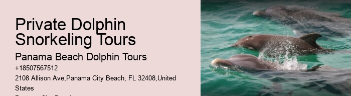 Personal Dolphin Swim with Snorkeling