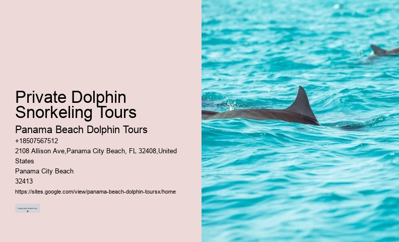 Swimming With Dolphin Tours Panama City Beach