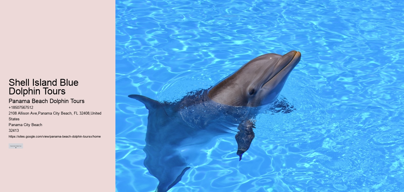 Shell Island Blue Dolphin Tours