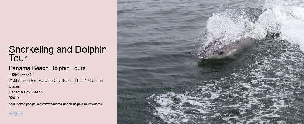 Salty Mary Dolphin And Snorkel Tours Reviews