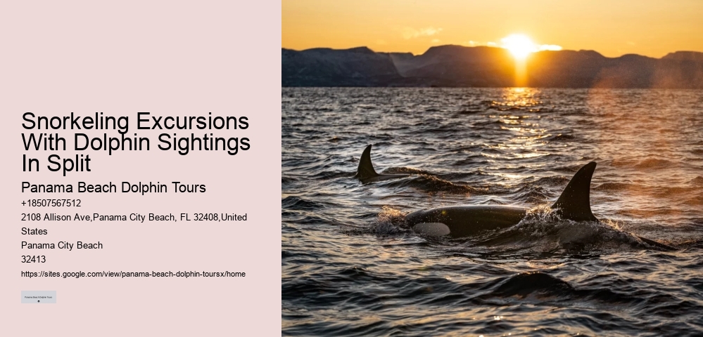 Panama City Fl Boat Tours