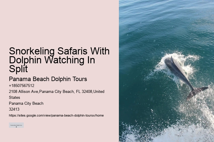 Panama City Beach dolphin watching excursions