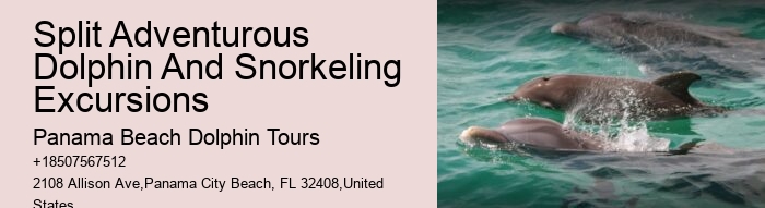 Swimming With Captive Dolphins