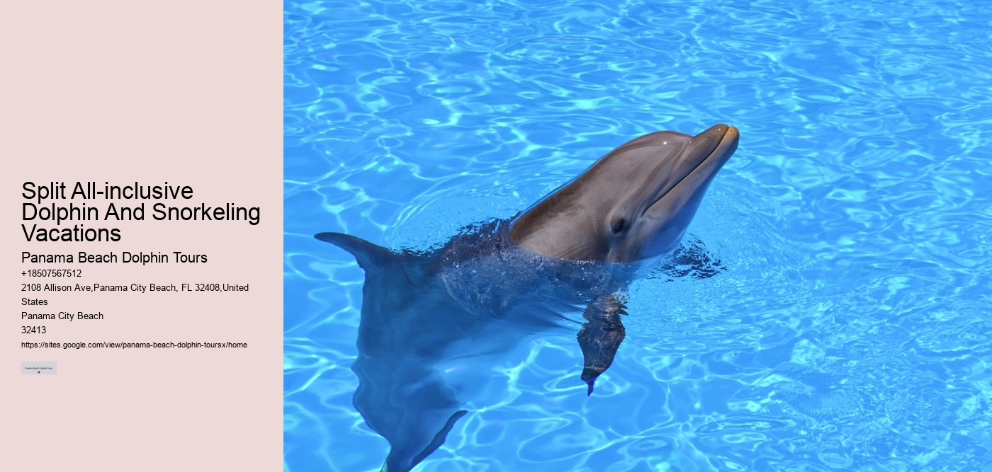 Split All-inclusive Dolphin And Snorkeling Vacations