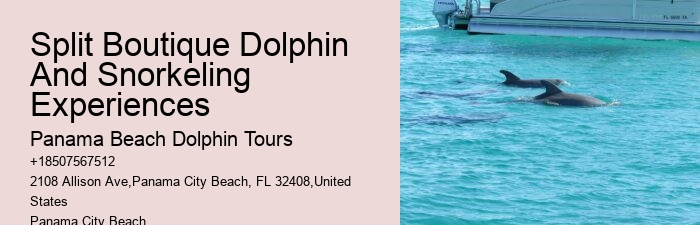 How Much Does It Cost To Swim With Dolphins In Panama City