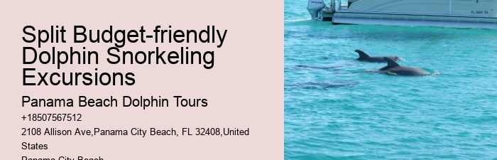 Dolphin Spotting Tours Combined With Snorkeling In Split