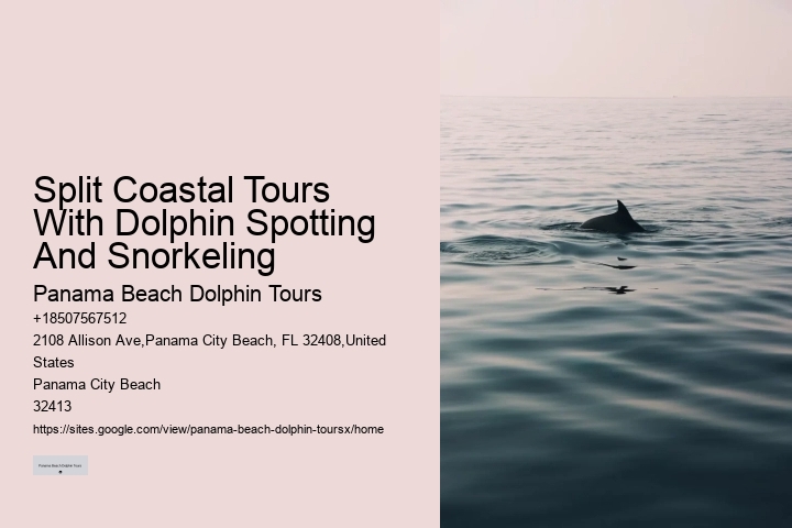 Panama City Beach Florida Dolphin Tours