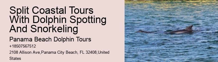 Panama City Beach Shell Island Dolphin Tour