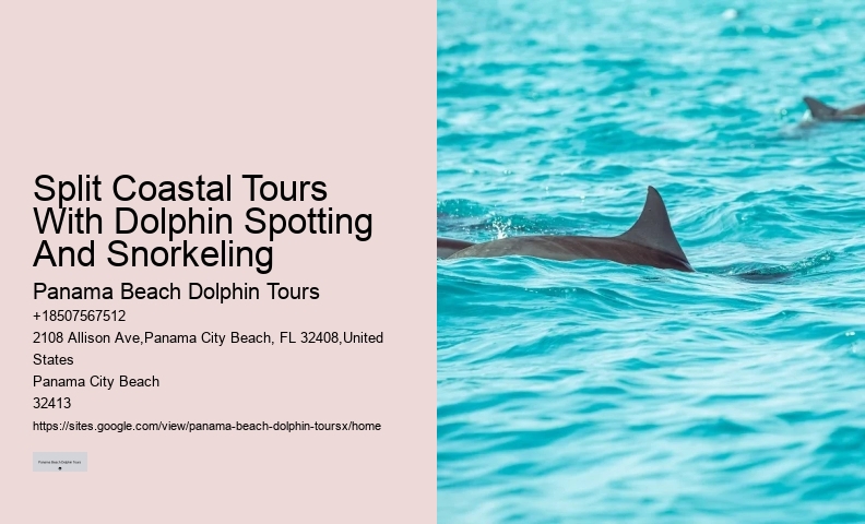 Panama City Beach dolphin excursions