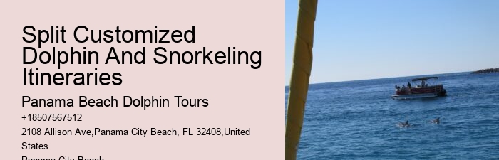 Dolphin Watching Excursions in PCB