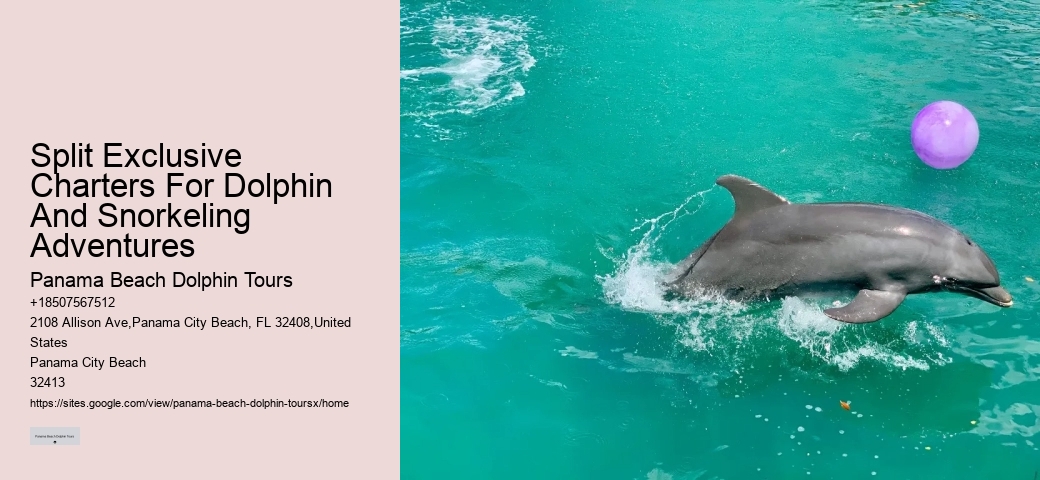 Split Exclusive Charters For Dolphin And Snorkeling Adventures