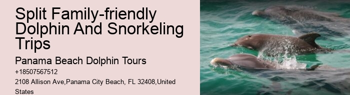 Split Sunrise Dolphin Watching And Snorkeling Trips