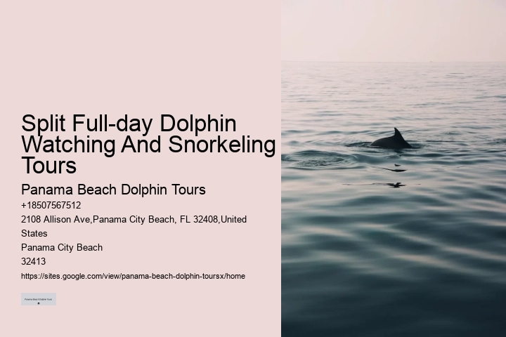 Personalized Dolphin Watching and Snorkeling Trips
