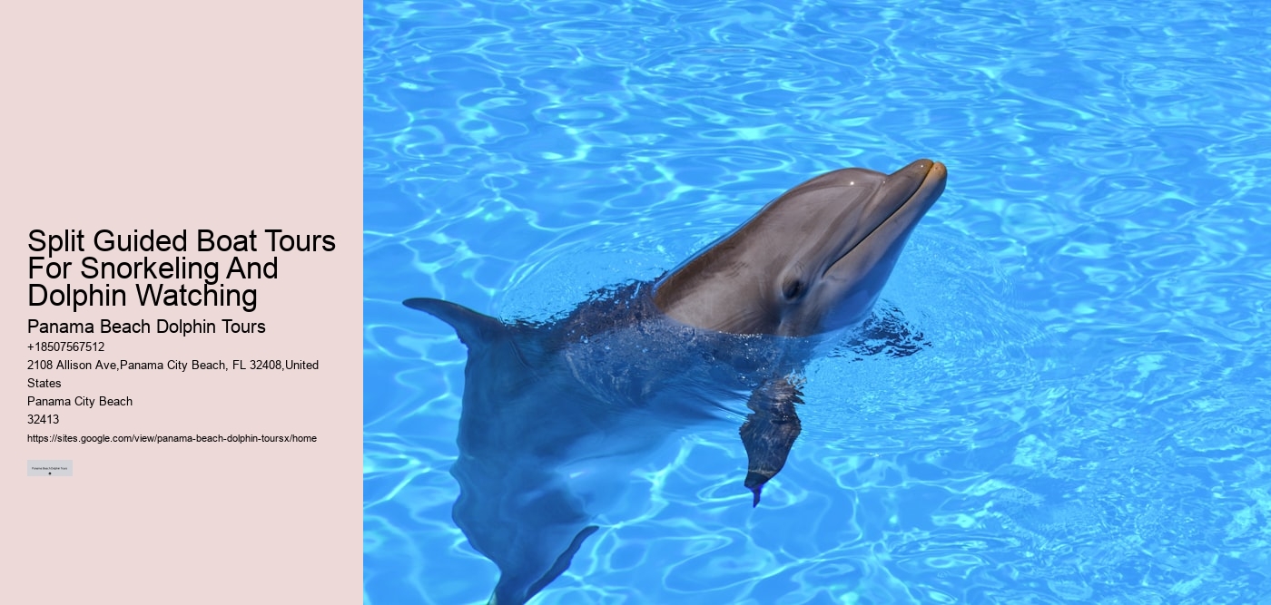 Split Guided Boat Tours For Snorkeling And Dolphin Watching