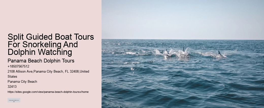 Split Coastal Tours With Dolphin Spotting And Snorkeling