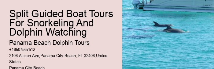 Split Personalized Snorkeling And Dolphin Charters