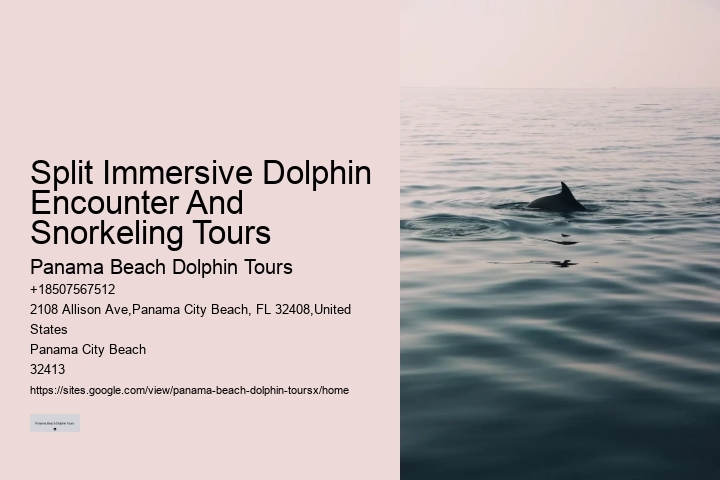 Panama City Beach dolphin adventure tours