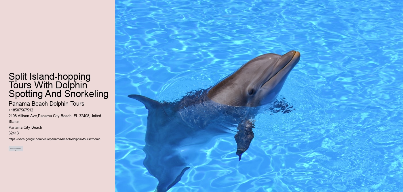 Split Island-hopping Tours With Dolphin Spotting And Snorkeling