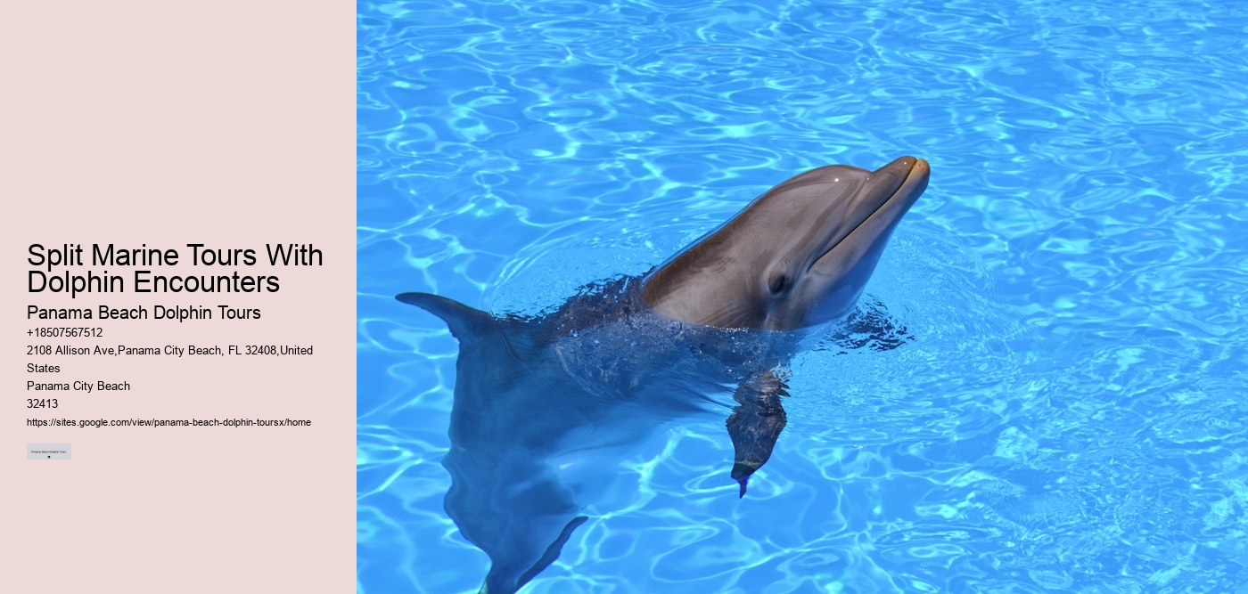 Split Marine Tours With Dolphin Encounters